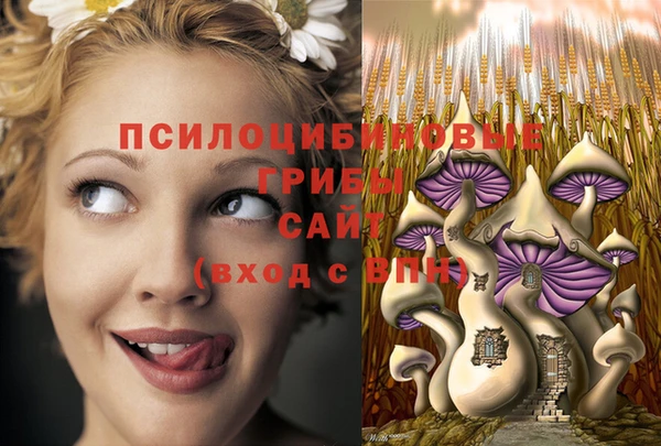 гашишное масло Киренск